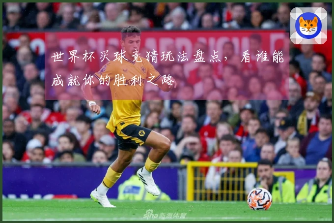 世界杯买球竞猜玩法盘点，看谁能成就你的胜利之路