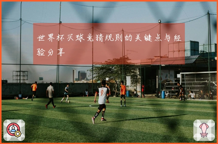 世界杯买球竞猜规则的关键点与经验分享