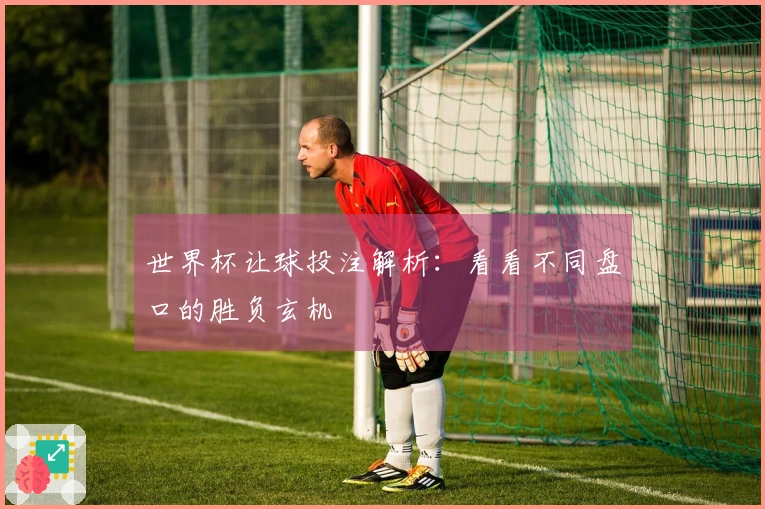 世界杯让球投注解析：看看不同盘口的胜负玄机