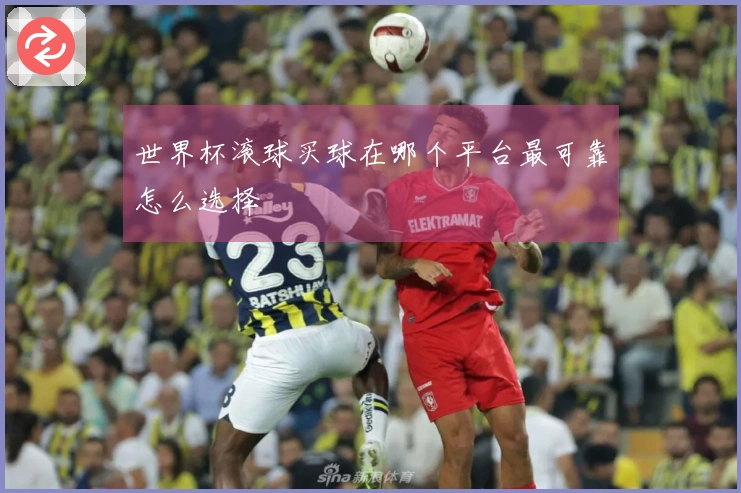 世界杯滚球买球在哪个平台最可靠怎么选择