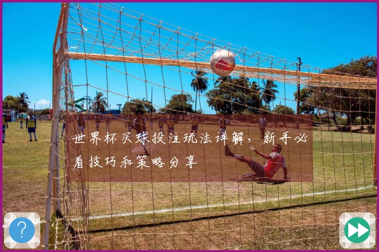 世界杯买球投注玩法详解，新手必看技巧和策略分享
